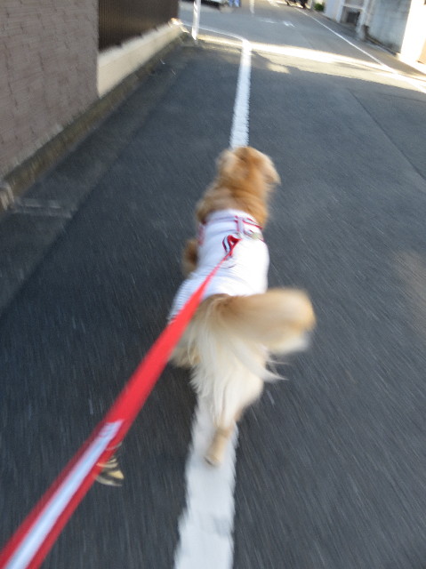 ファイル 5382-4.jpg