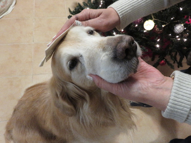 ファイル 5385-1.jpg