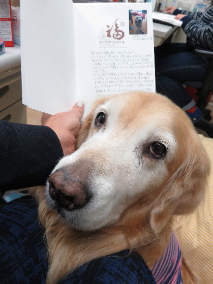 ファイル 5385-4.jpg