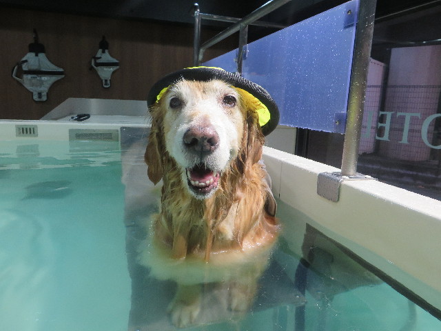 ファイル 5387-2.jpg