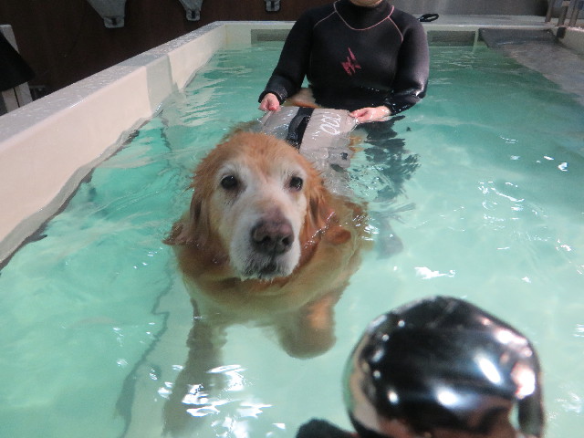 ファイル 5387-4.jpg