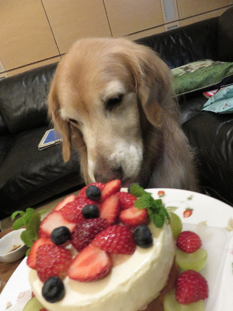 ファイル 5388-4.jpg