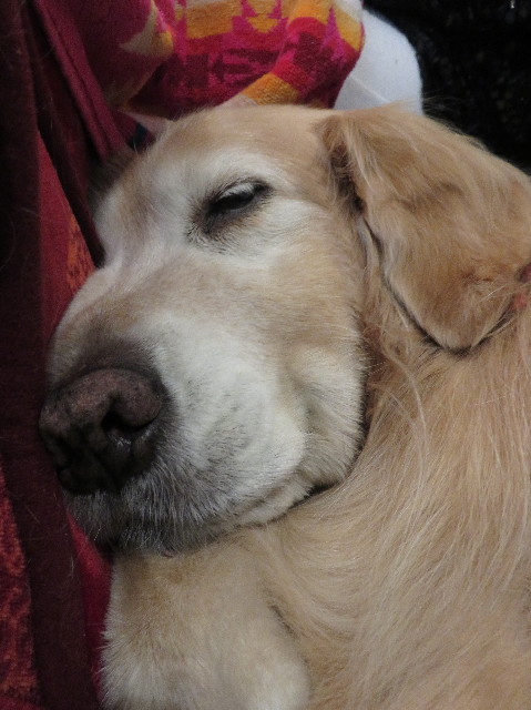 ファイル 5388-5.jpg