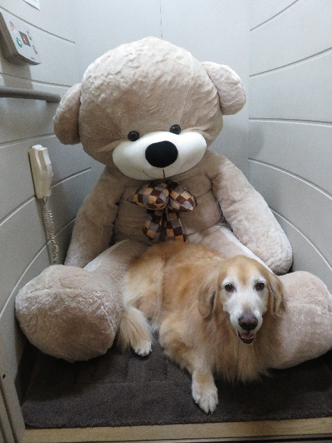 ファイル 5393-1.jpg