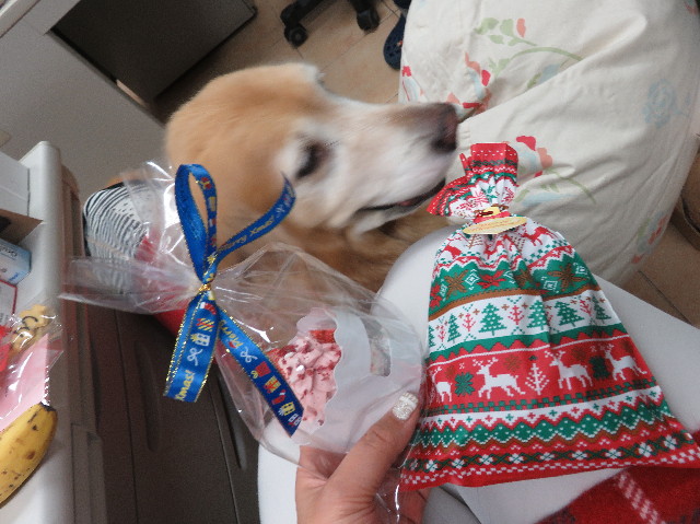 ファイル 5393-3.jpg