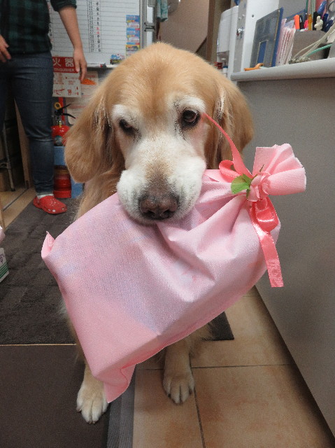 ファイル 5393-4.jpg