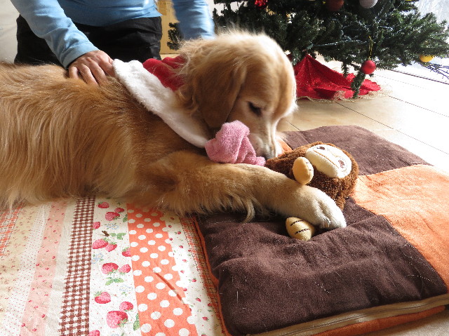 ファイル 5394-5.jpg