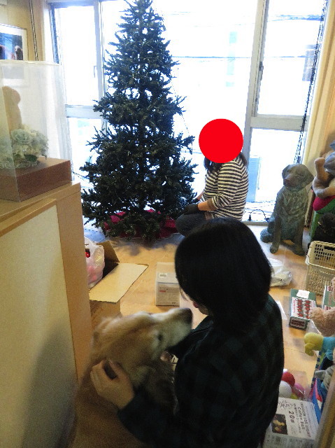 ファイル 5395-1.jpg