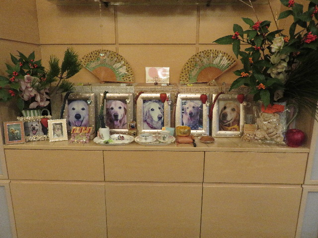 ファイル 5395-5.jpg