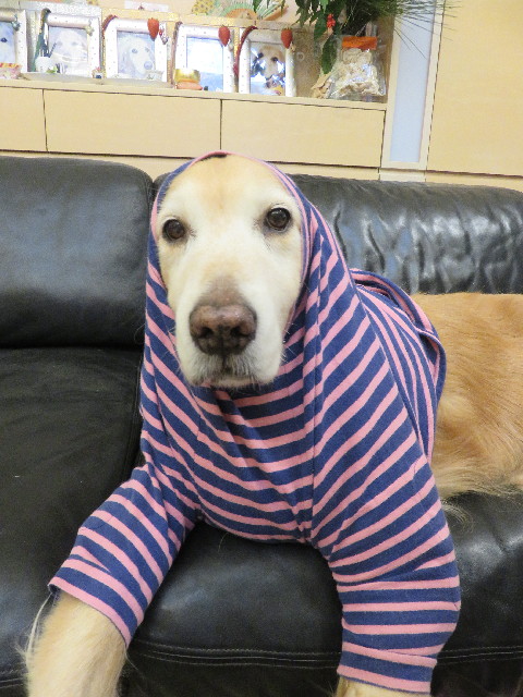 ファイル 5399-1.jpg