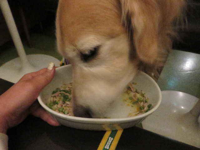 ファイル 5399-5.jpg