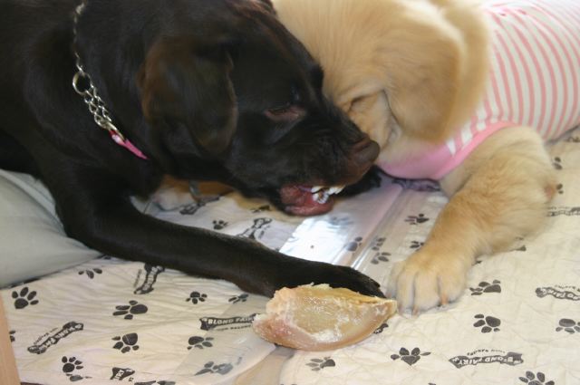 ファイル 54-2.jpg