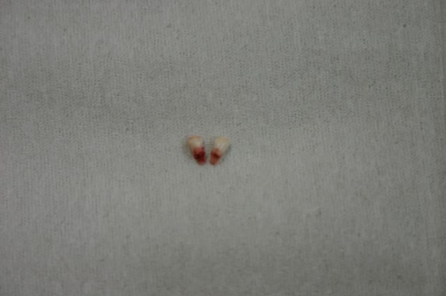 ファイル 54-5.jpg