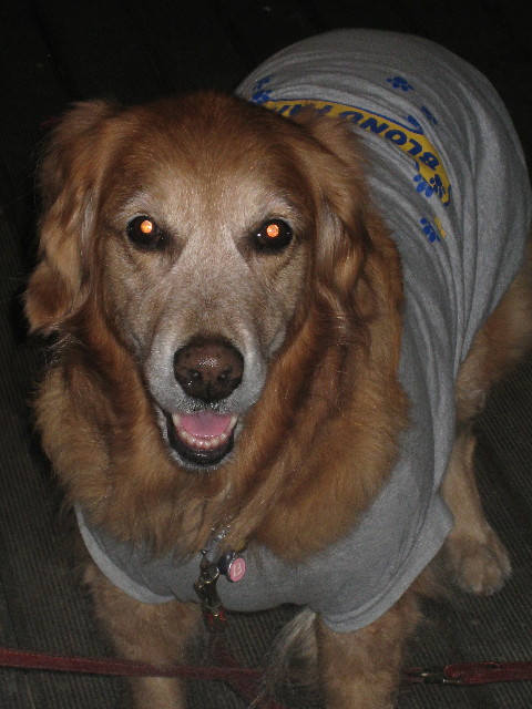 ファイル 540-4.jpg