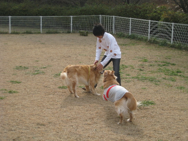 ファイル 541-2.jpg