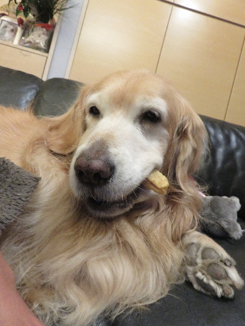 ファイル 5413-4.jpg