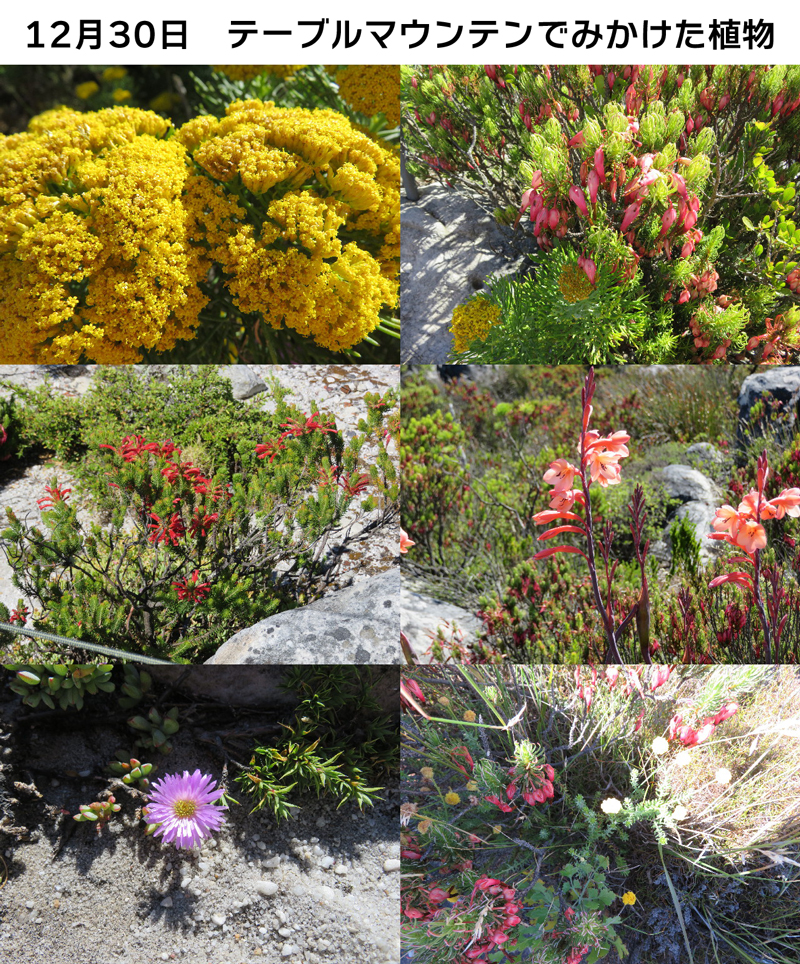 ファイル 5416-5.jpg