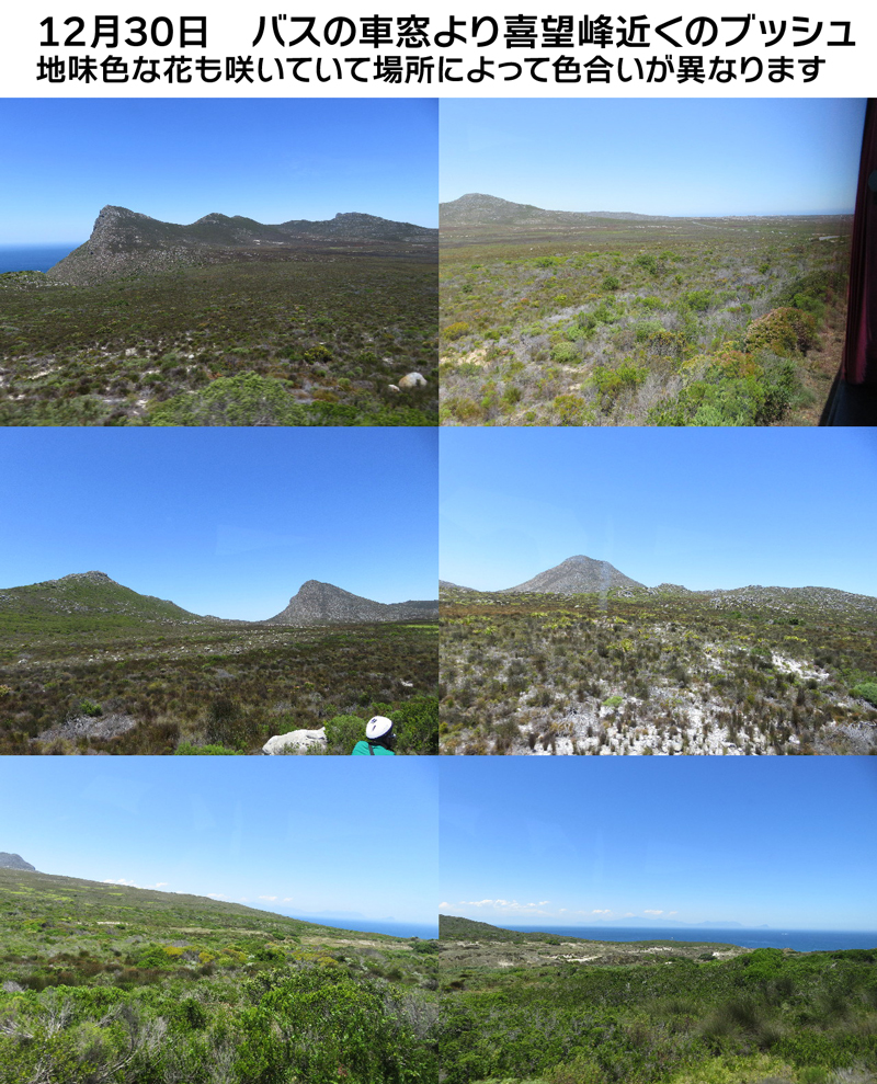 ファイル 5418-1.jpg