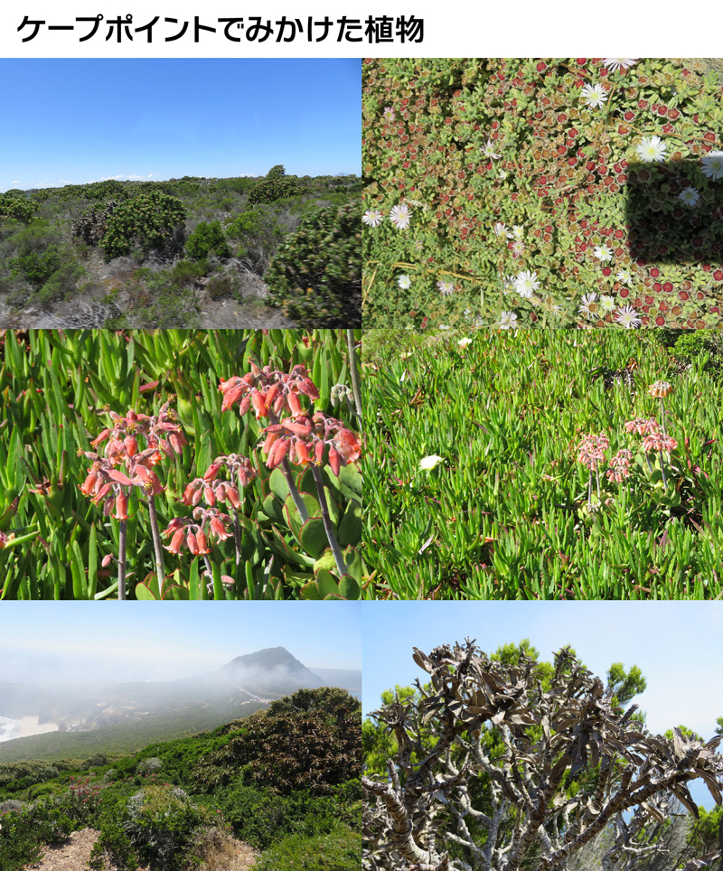 ファイル 5420-3.jpg