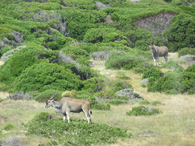 ファイル 5420-5.jpg