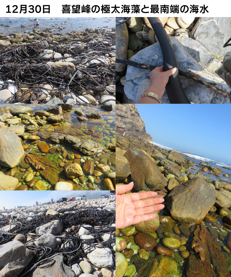 ファイル 5421-2.jpg