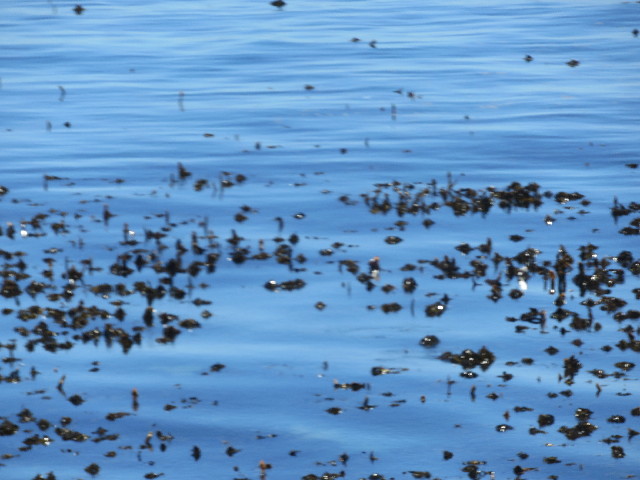 ファイル 5421-3.jpg