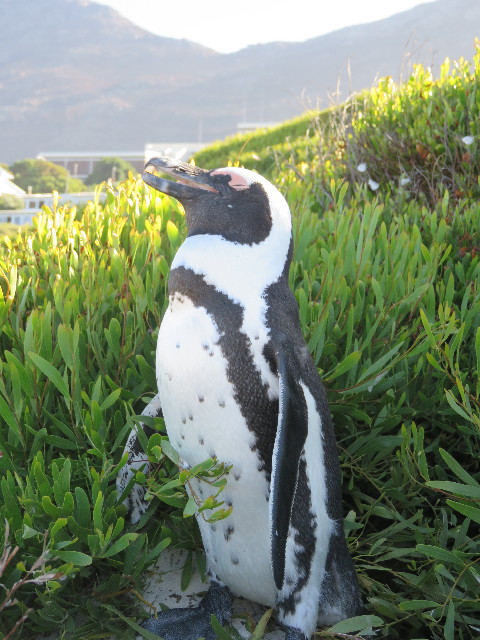 ファイル 5424-3.jpg