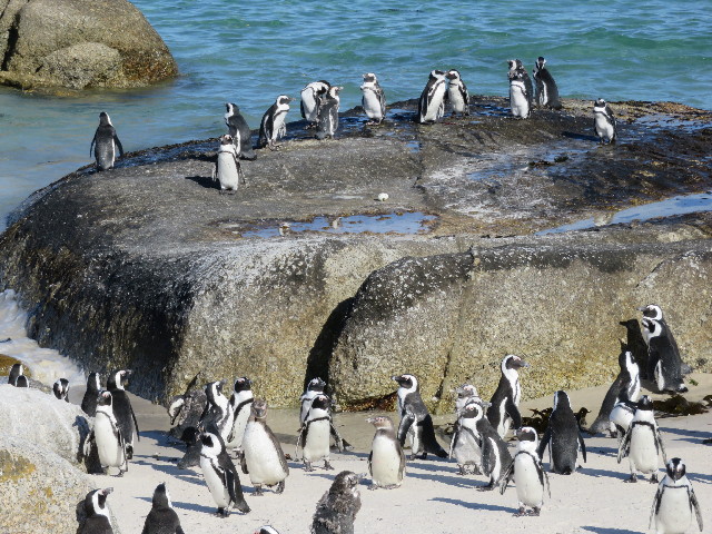 ファイル 5425-2.jpg