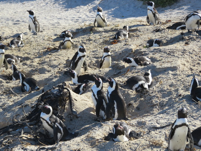 ファイル 5425-3.jpg