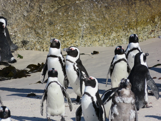 ファイル 5425-4.jpg