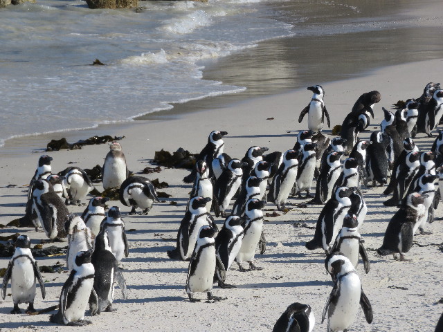 ファイル 5426-1.jpg