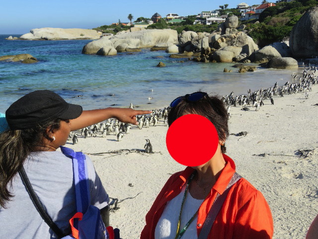 ファイル 5426-4.jpg