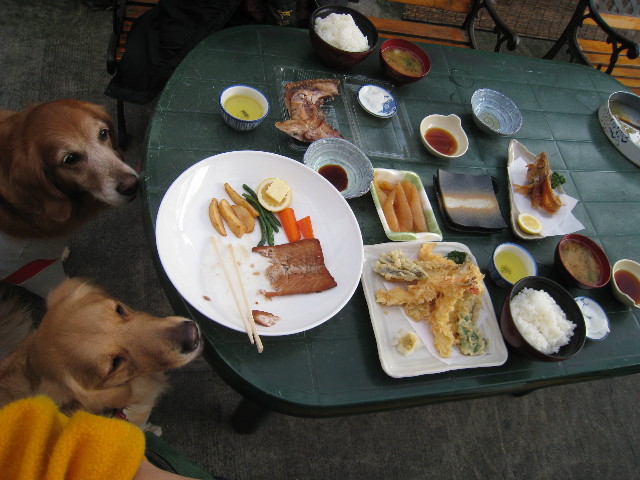 ファイル 543-2.jpg