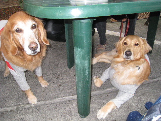 ファイル 543-3.jpg