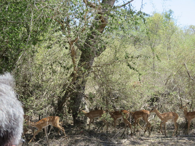 ファイル 5433-1.jpg