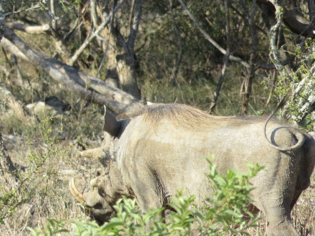 ファイル 5435-2.jpg