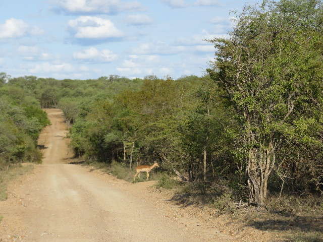 ファイル 5435-3.jpg