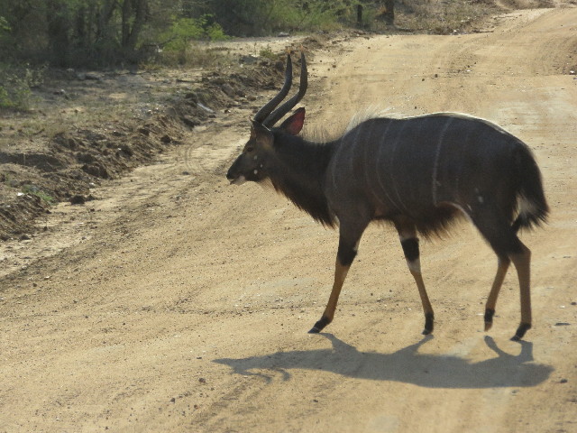 ファイル 5435-5.jpg