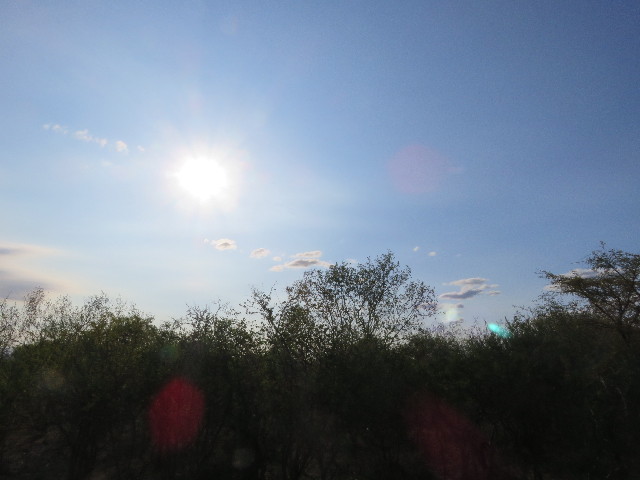 ファイル 5436-1.jpg