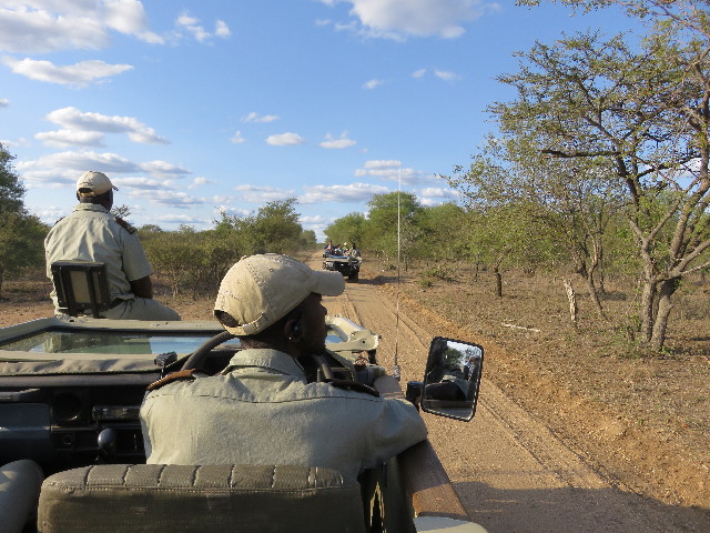 ファイル 5437-1.jpg