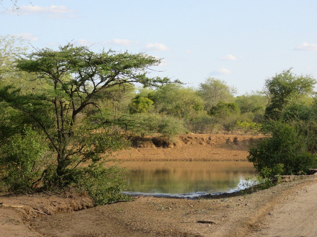 ファイル 5437-5.jpg