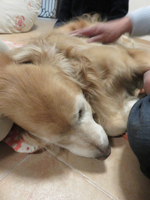 ファイル 5439-4.jpg