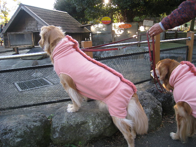 ファイル 544-1.jpg