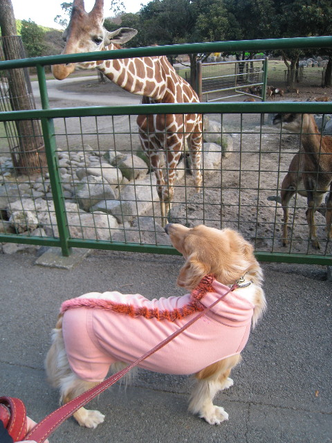 ファイル 544-2.jpg