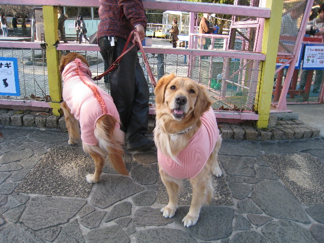 ファイル 544-4.jpg