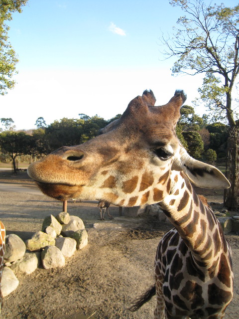 ファイル 544-5.jpg