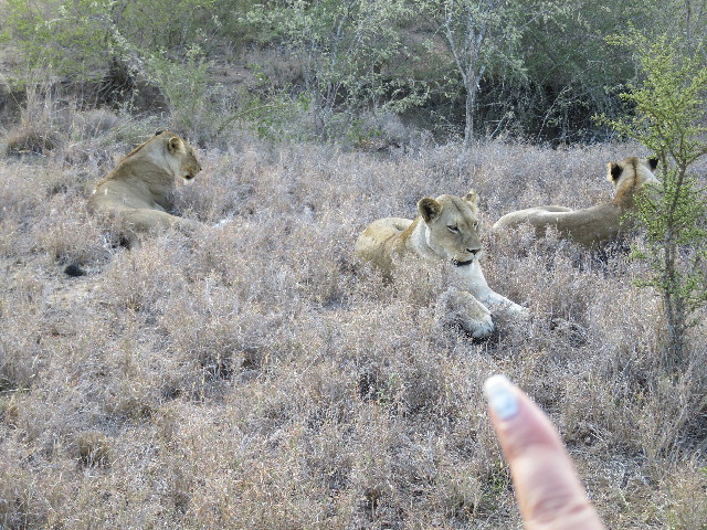 ファイル 5441-1.jpg