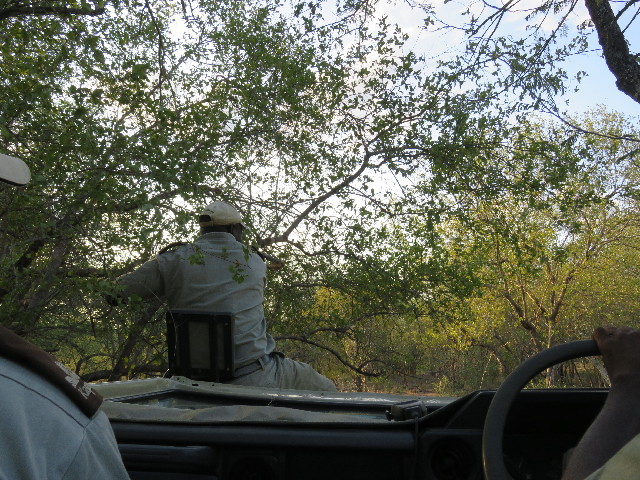 ファイル 5442-1.jpg