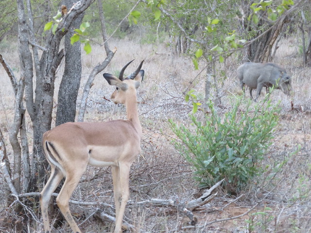 ファイル 5445-2.jpg