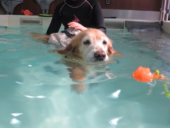 ファイル 5449-4.jpg